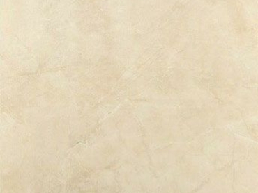 80x80 Pulpis Bone