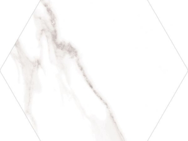 DORTMUND HEX -22.5x25.9-1