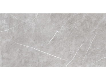 theatre_polished_pearl_60cm_x_120cm_porcelain_wall_and_floor_tile__95496 (1)