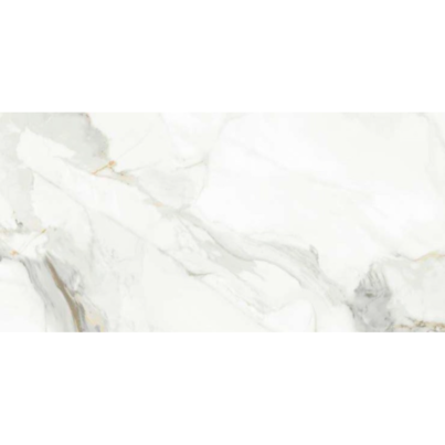 ARABESCATO BIANCO 60x120cm